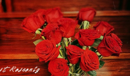 送19朵玫瑰代表什么道理，数字19的含义_永远只爱你一人