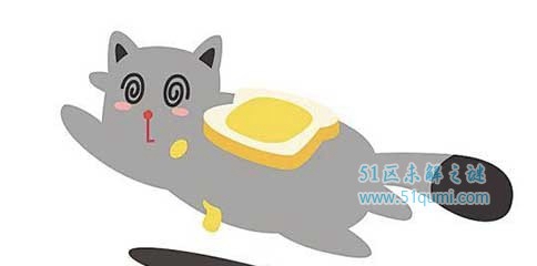 黄油猫悖论是什么?试验会爆发什么反映?