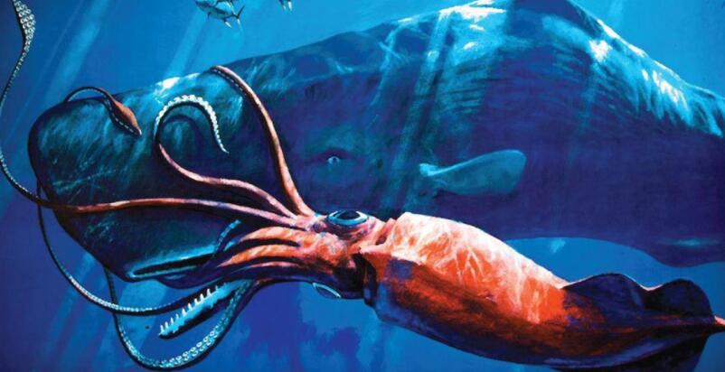 北海巨妖挪威海怪，体长100米的巨型八爪鱼_传闻中的生物