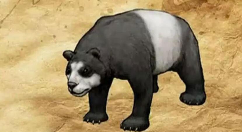 始熊猫长什么格式吃人吗，和剑齿虎比哪个更利害_附图片