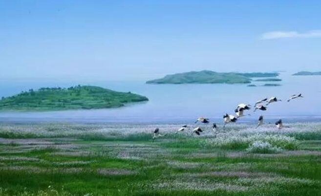 中国五大淡水湖排名，鄱阳湖最大_对折位于长江沿岸
