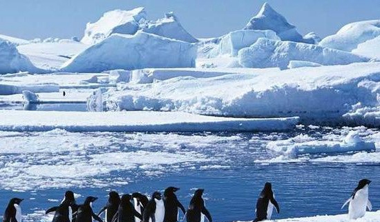 南极洲有哪些国度构成，地球上独一不人类寓居的陆地