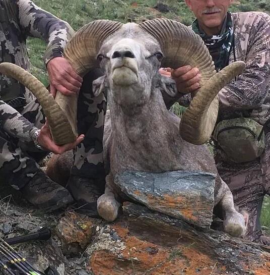 美国牙医沃我特·帕我默（Walter Palmer）杀死了濒绝的Altai盘羊