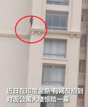 不日，一位网友拍到对于面大楼上爆发的惊险一幕，别名15岁女郎从23楼的一扇窗户跳到了渺小的窗台上