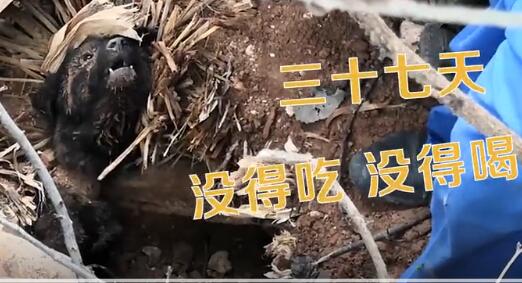 8月12日，贵州毕节爆发山体滑坡37黎明，村民回到现场清算残剩物，模糊听到微小的声响从地下传来