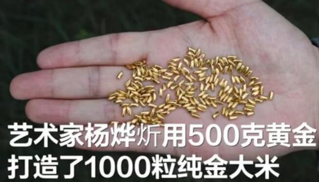 黄金制米扔进黄浦江