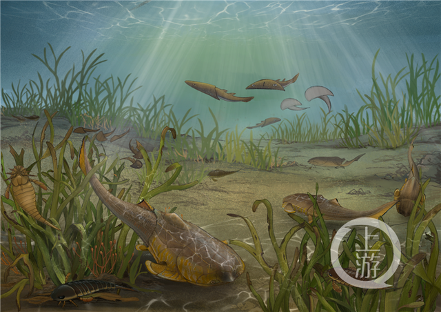 沉庆创造4.23亿年前袖珍边城鱼!