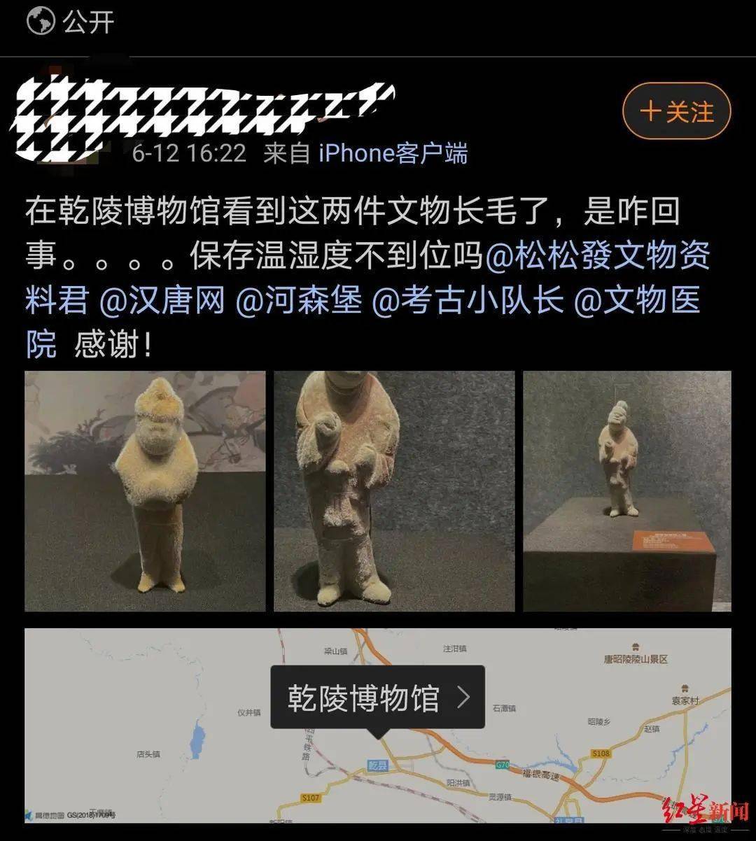 陕西一博物馆二件陶俑怪僻“长毛” 网友拍下现场博家回应了!