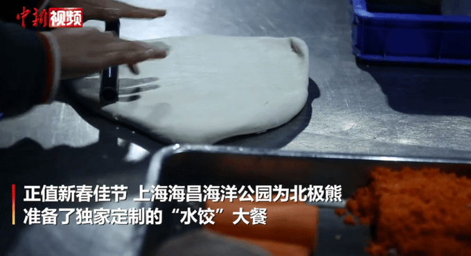 上海北极熊过年吃到4斤沉要饺子（图）