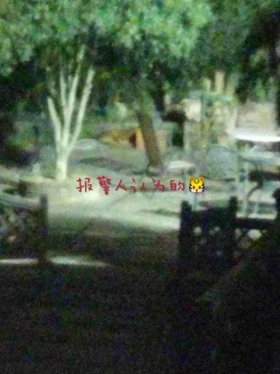 8月23日，杭州一位村民报警称村里有老虎，在电话里吓得语无伦次，还说拍到了照片，民警全部武装