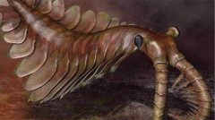 旷古海洋三大霸主 沧龙最强恐龙蜥蜴进化而成