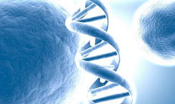 牺牲基因被创造，缺失这种基因大约率患癌_癌症克星
