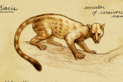 猫的祖先是什么动物?擅长爬树_是所有食肉动物的祖先
