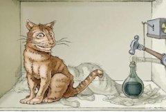 薛定谔的猫是什么道理 薛定谔的猫证明白什么