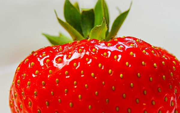 吃草莓有哪些用处?草莓的十风行用与功能
