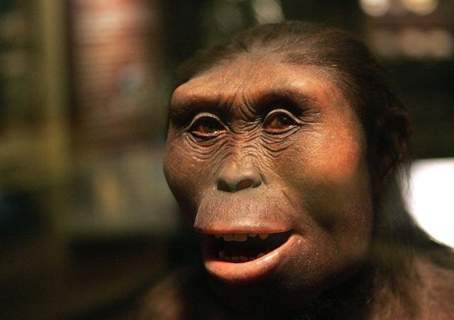 十万年后的人类会长成什么相貌？没有忍直视！