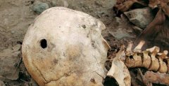 秘鲁考古惊现伟大头骨 科学家以为是外星人骨骼