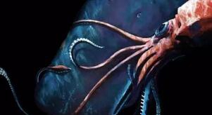 六种海底恐惧图片，抹香鲸大战大王黑贼/尖牙鱼掉什么吃什么