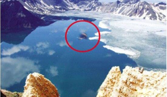 长白山天池怪兽果然存在吗，与美国夏普朗湖水怪极端相像（图片）