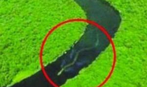 马来西亚神奇巨蛇nabau 长30米有七个鼻孔的虚伪蛟龙（ps）