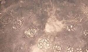 秘鲁纳斯卡线上石轮图案之谜，两千年前的巨绘/外星人所为