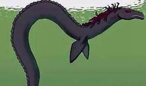 美国神奇阿拉斯加水怪，竟是水底大海蛇卡布罗龙/水怪视频