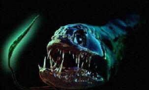 清点十大深海未知巨型恐惧生物，海底神奇未知生物终曝光