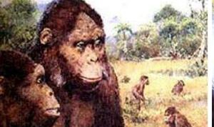 野女人扎娜之谜，未进化的猿与人类生下4个儿童_非洲猿