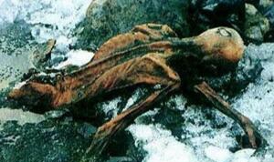 世界上保留最完备的木乃伊冰人奥茨，尸身5300年没有腐