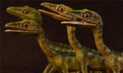 美颌龙吃什么 科学家在口腔内创造完备蜥蜴