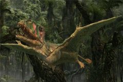 双型齿翼龙：属于喙嘴龙亚手段翼龙（活泼于1.9亿年前）