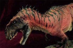 蛮龙：罗纪时期的暴君 欧洲范畴创造最大的食肉恐龙