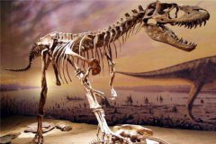 阿纳萨齐龙：长有鸭嘴的恐龙（生计在晚白垩纪时期）