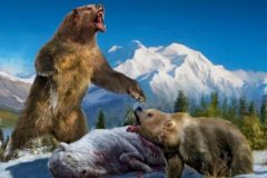 巨型短面熊:北美洲最强的史前肉食动物_被称北境之王
