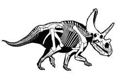 阿古哈角龙：属于角龙类生物（身上长了许多角）