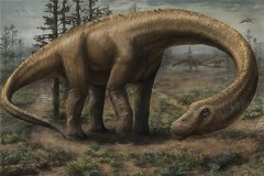 阿拉摩龙：生计在白垩纪北美洲恐龙（四脚草食性恐龙）