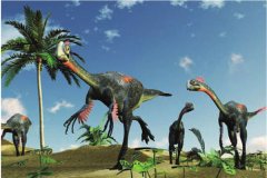 阿拉善龙：阿拉善地域所创造的恐龙（双脚食草恐龙）